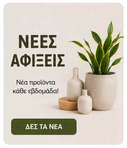 New_arrivals_promo4