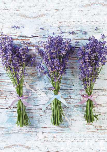 Colour Bouquet Lavender A/4 Elastic Folder