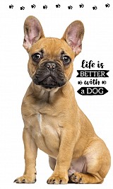 Dog Friend hand and face towel, towel 30x50cm