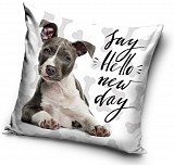 Dog cushion cover 40x40 cm