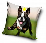 Dog pillowcase 40*40 cm