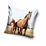 Horses Loyal Hearts cushion cover 40x40 cm