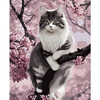 Painting by numbers 40x50cm- Maaleo cat 22783