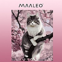 Painting by numbers 40x50cm- Maaleo cat 22783