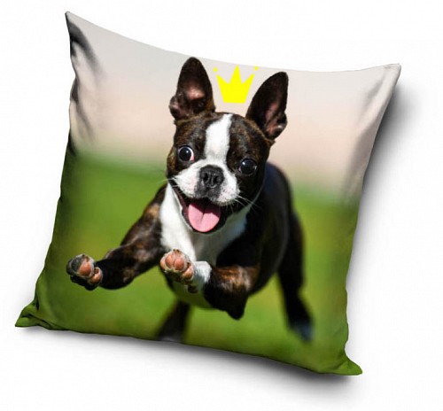 Dog pillowcase 40*40 cm