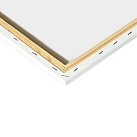 Painting by numbers 40x50cm- Maaleo cat 22783